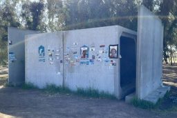 Life Lessons Learned Along the Way: Pain and Suffering